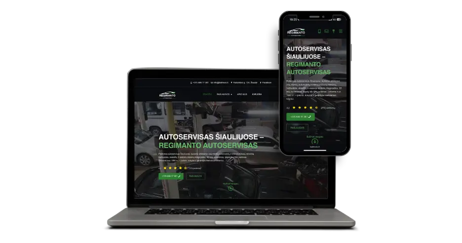 Baltrevis business website